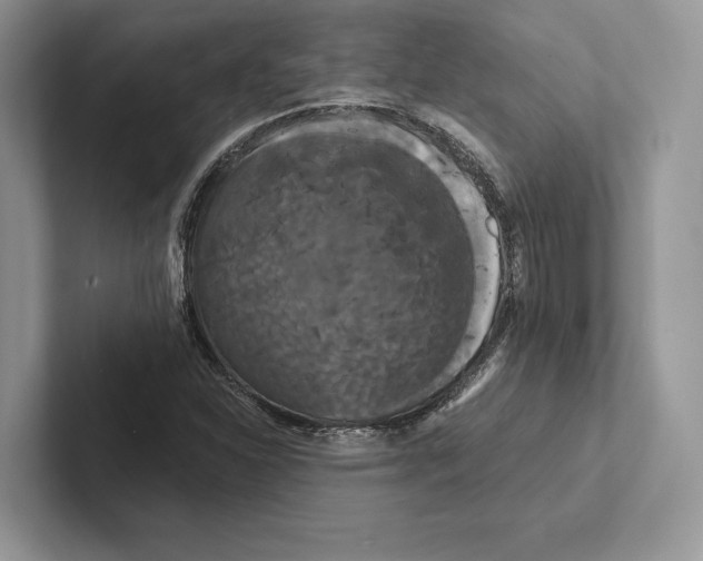 X0000100921310200807221107