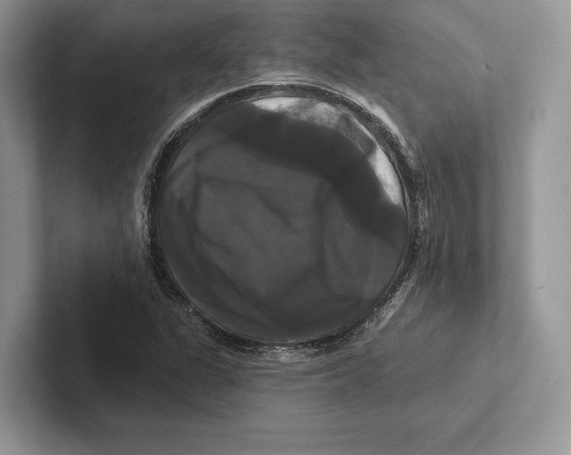 X0000100921311200807221107