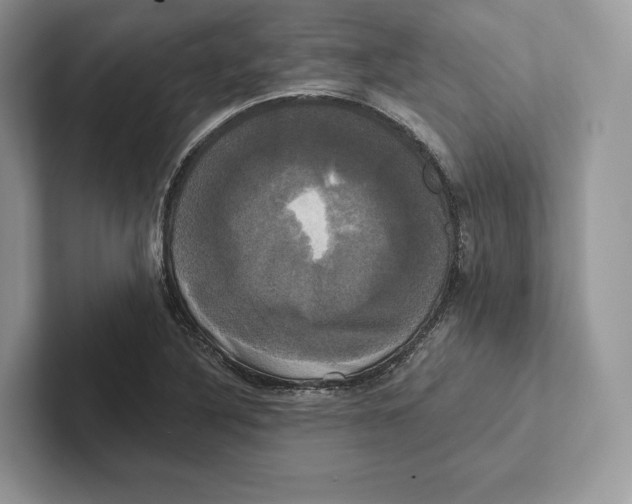 X0000100921316200807221107