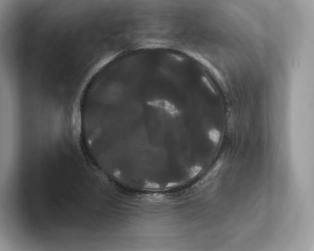 X0000100921317200807221107