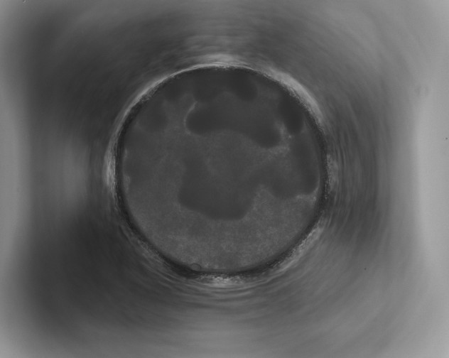 X0000100921318200807221107