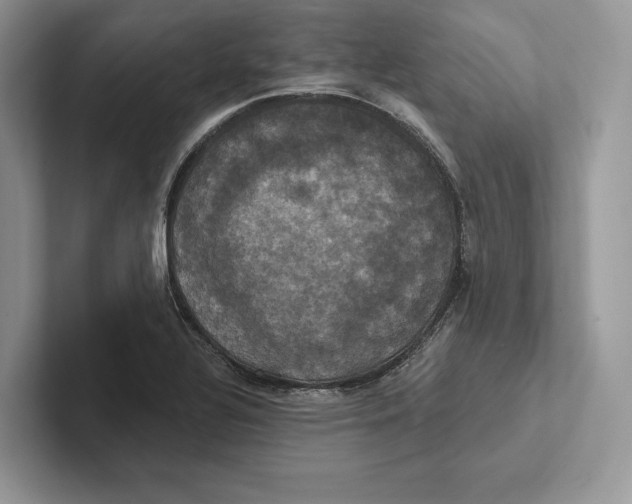X0000100921320200807221107
