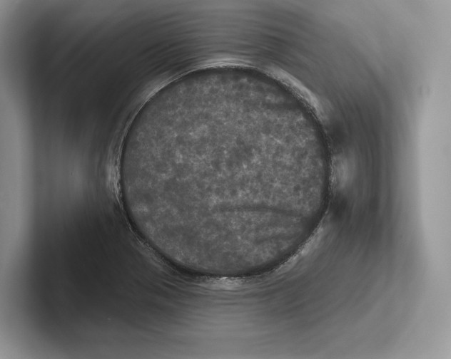 X0000100921321200807221107