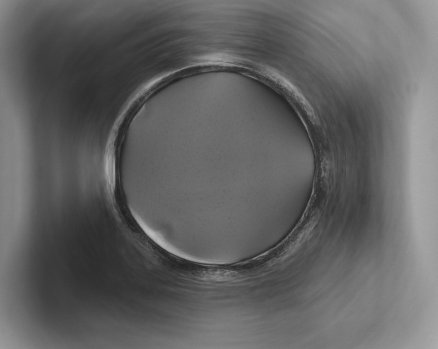X0000100921323200807221107