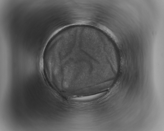 X0000100921324200807221107