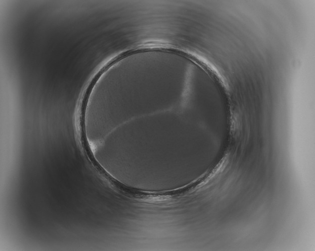 X0000100921325200807221107