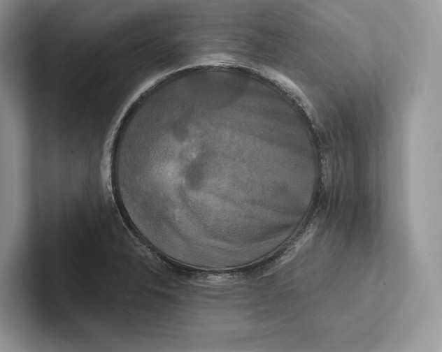 X0000100921326200807221107