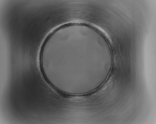 X0000100921327200807221107