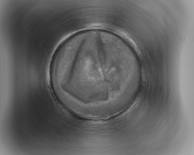 X0000100921328200807221108
