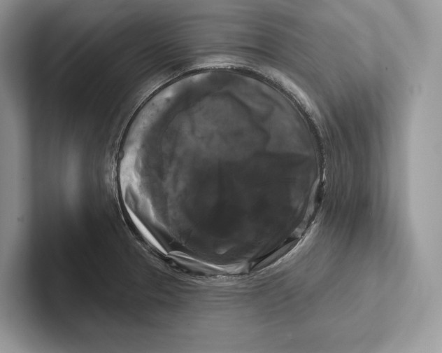 X0000100921329200807221108