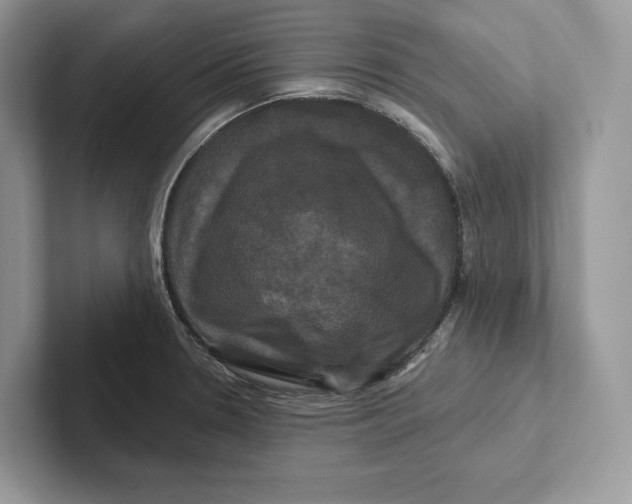 X0000100921330200807221108
