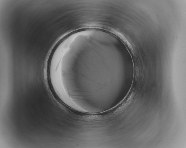 X0000100921331200807221108