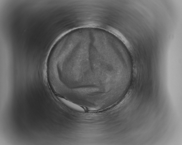 X0000100921332200807221108