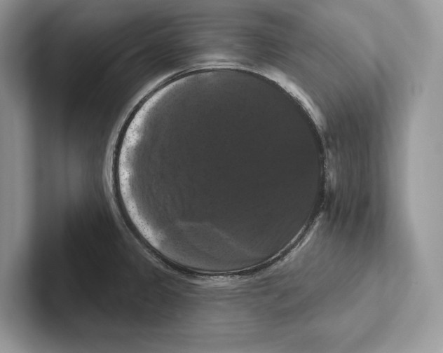 X0000100921333200807221108
