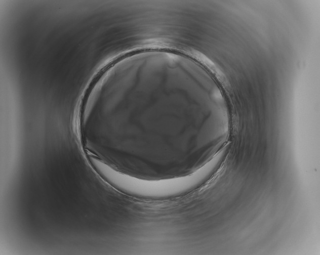 X0000100921334200807221108