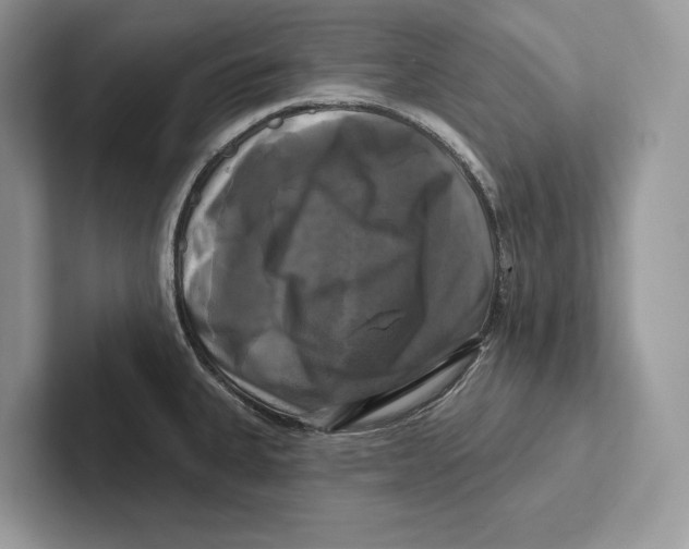 X0000100921335200807221108