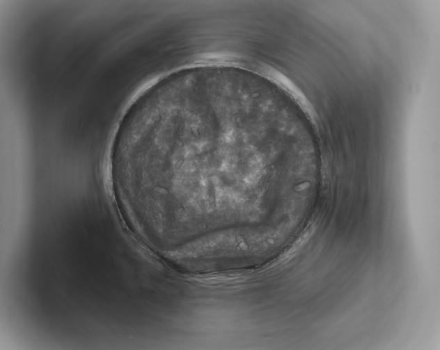 X0000100921336200807221108