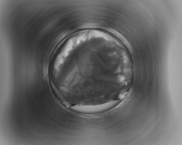 X0000100921337200807221108