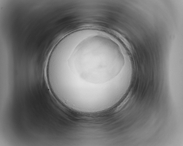 X0000100921338200807221108