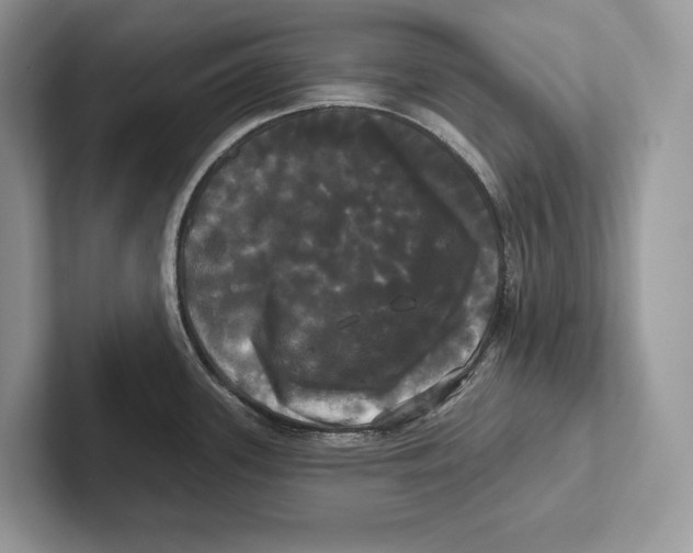 X0000100921339200807221108