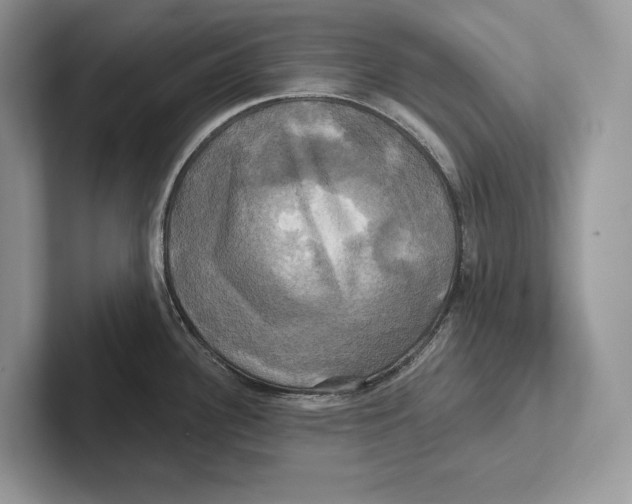 X0000100921340200807221108