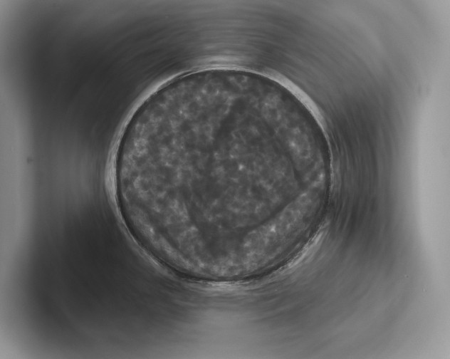 X0000100921341200807221108