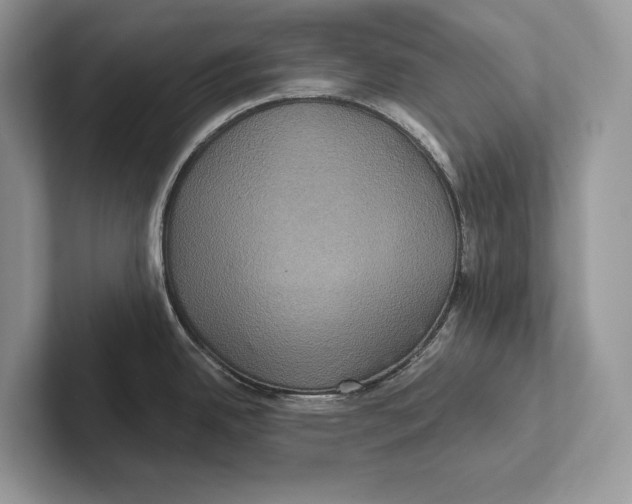 X0000100921342200807221108