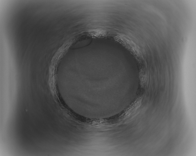 X0000100921345200807221107
