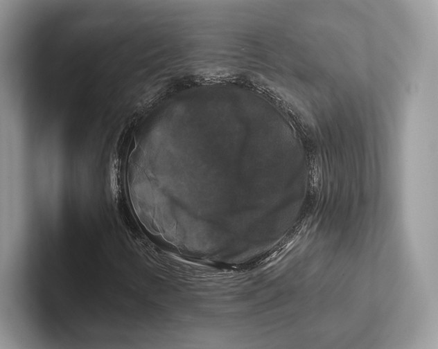 X0000100921346200807221107