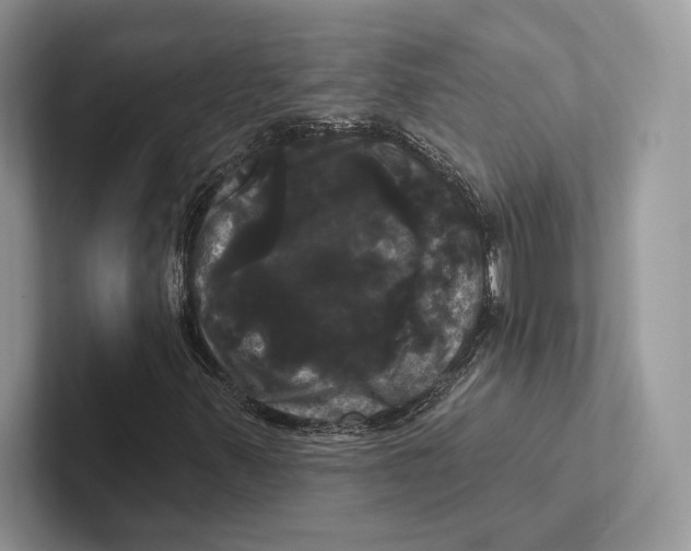 X0000100921347200807221107