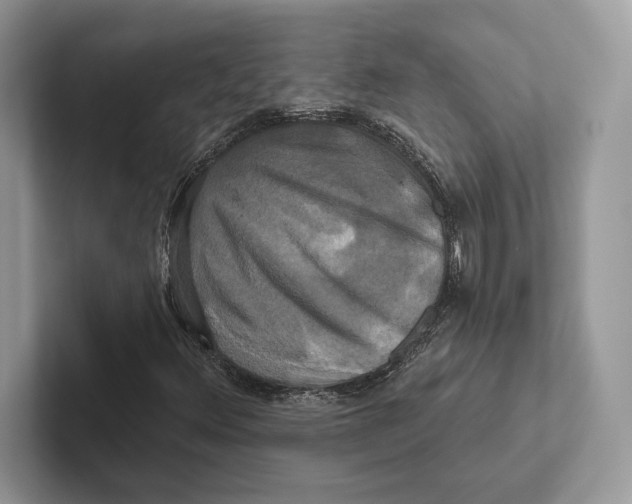 X0000100921348200807221107
