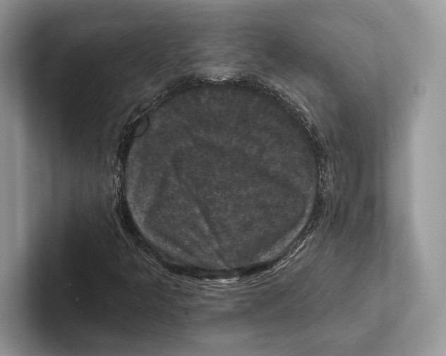 X0000100921349200807221107