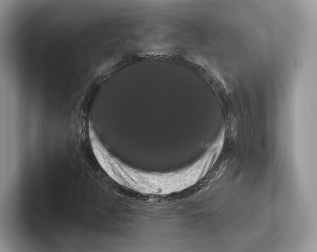 X0000100921350200807221107