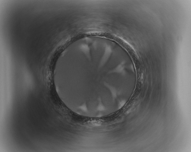 X0000100921351200807221107