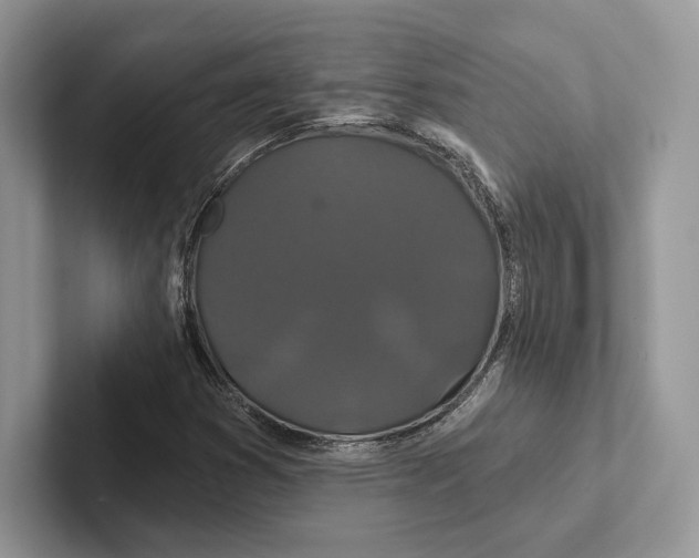 X0000100921353200807221107