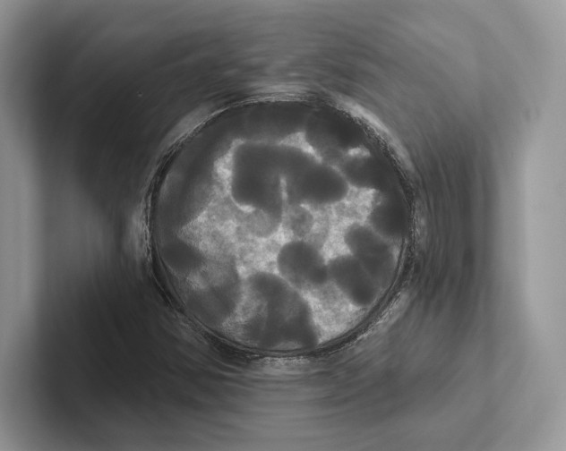 X0000100921354200807221107