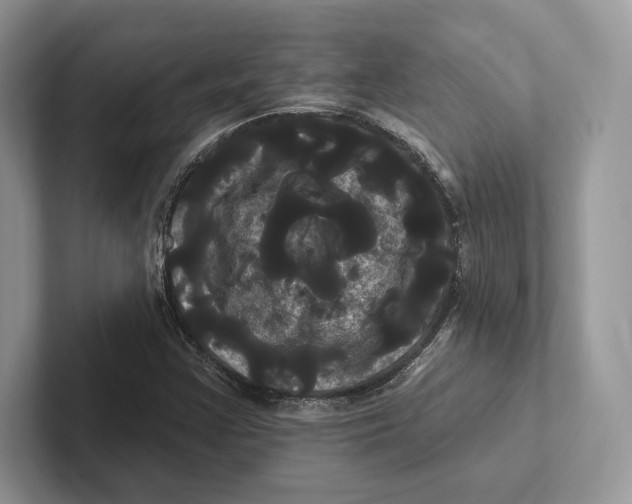X0000100921355200807221107