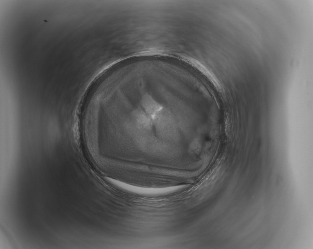 X0000100921356200807221107