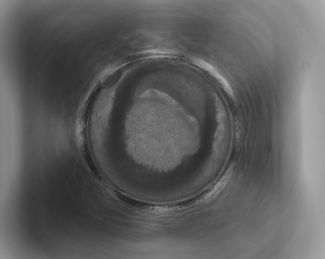 X0000100921357200807221107