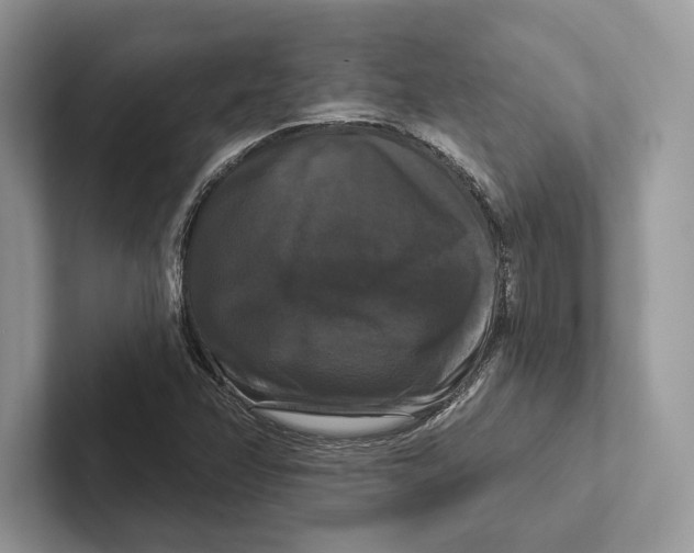 X0000100921358200807221107