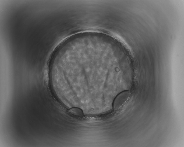 X0000100921360200807221107