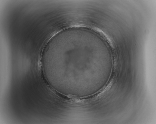 X0000100921361200807221107