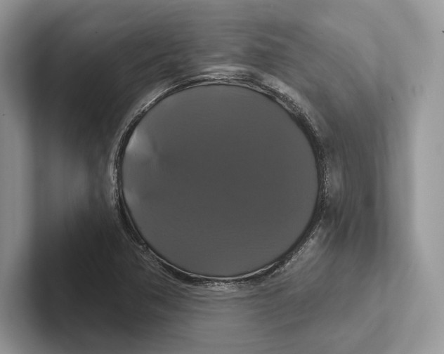 X0000100921362200807221107