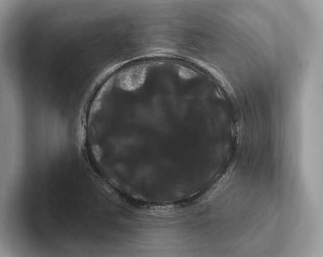 X0000100921363200807221107