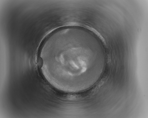 X0000100921364200807221107