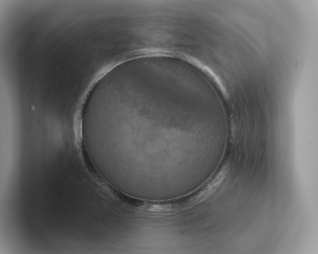 X0000100921365200807221107