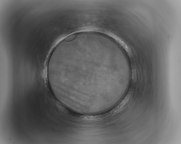 X0000100921366200807221107