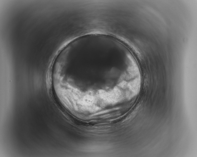 X0000100921367200807221107