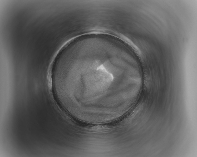 X0000100921368200807221107