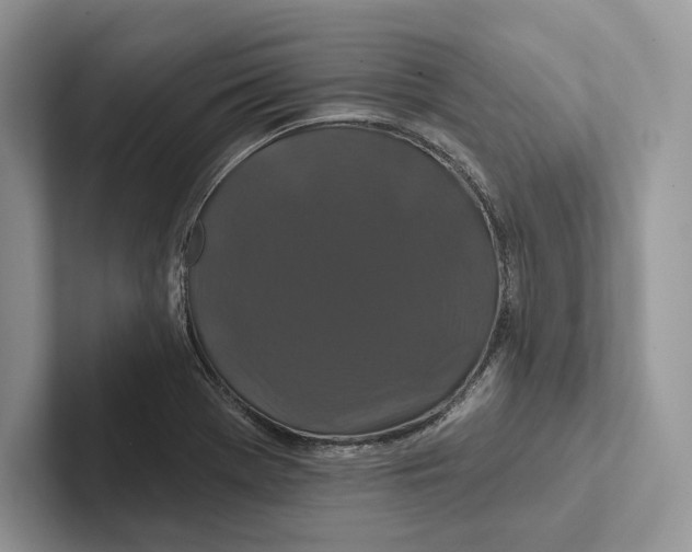 X0000100921369200807221107
